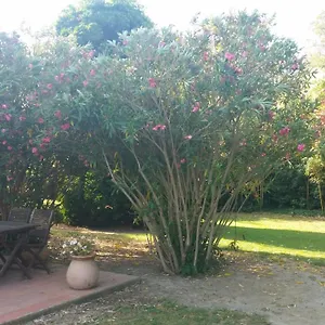 D'icard Bed & Breakfast